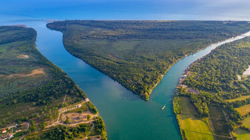 Aerial view of a river winding through forested wetlands.